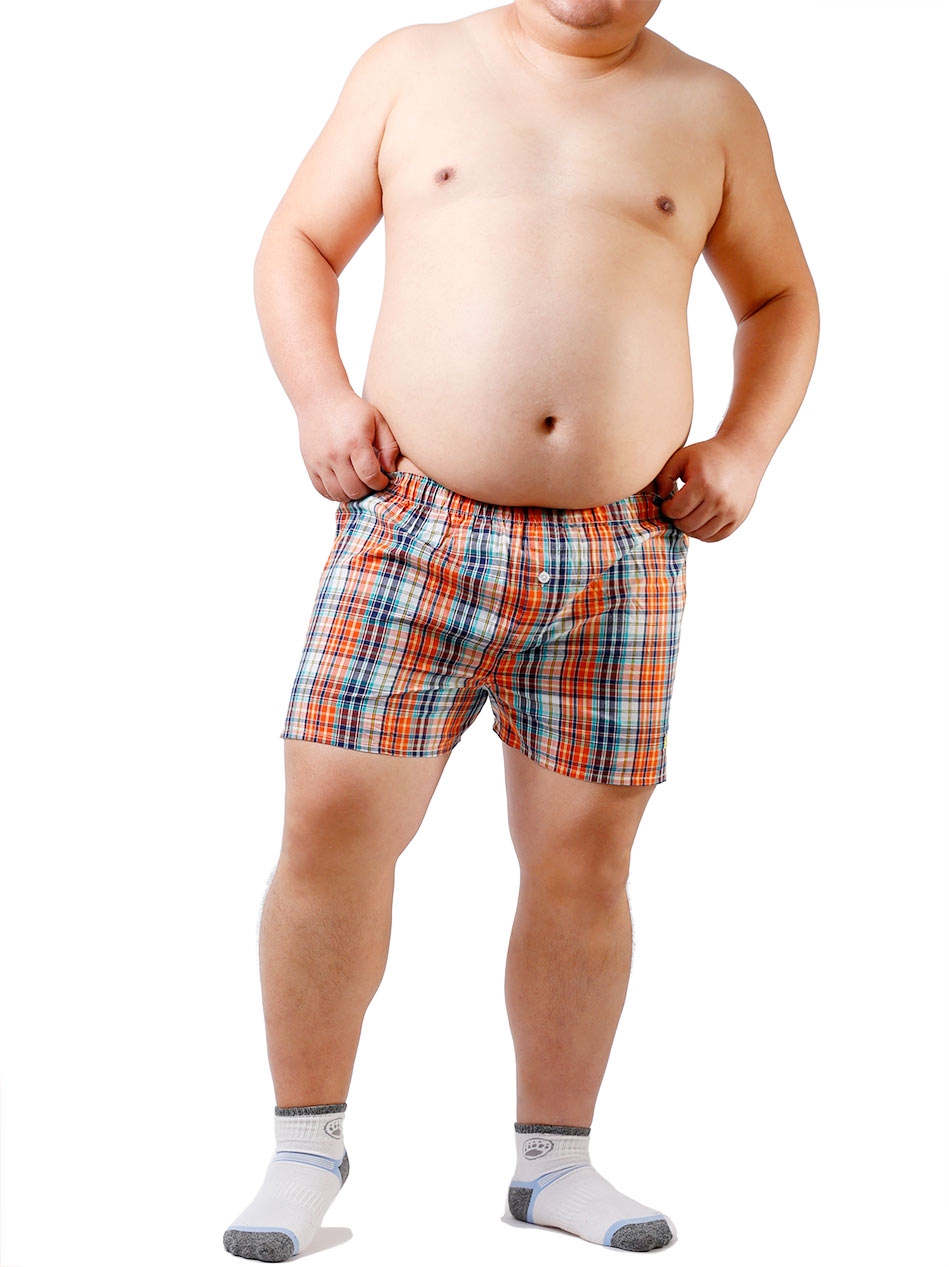 Urso garra pata xadrez roupa i - Interior Design Xl avaliação e preço