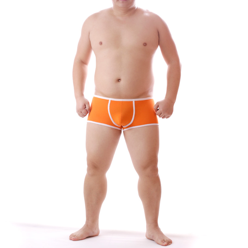 Masculino plus size urso garra - Interior Design Xl avaliação e preço